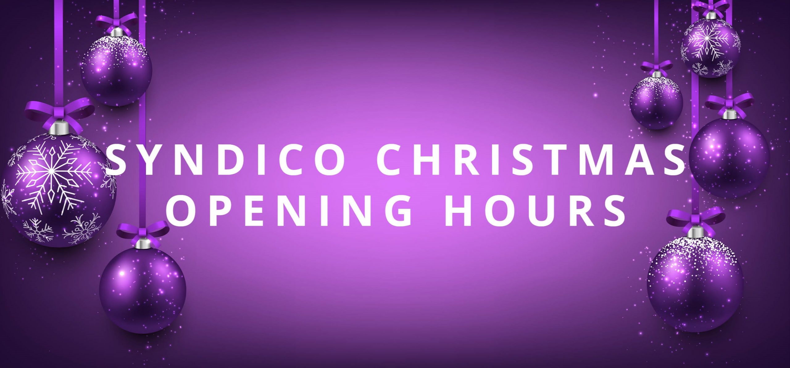Syndico Christmas Opening Hours